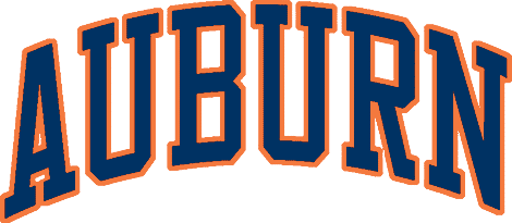 Auburn Tigers 1979-1996 Wordmark Logo diy DTF decal sticker